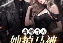 哪里能找到离婚当天,她掉马被顶级娘家接回小说的全部章节?-有书评