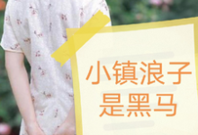 《小镇浪子是黑马》王专红刘素娟完整版小说免费阅读-有书评