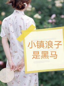 《小镇浪子是黑马》王专红刘素娟完整版小说免费阅读