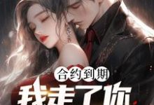合约到期，我走了你才求原谅？小说全文哪里可以免费看？-有书评
