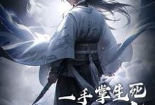 已完结小说《一手掌生死,一剑断万古》在线章节阅读-有书评