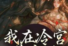 《我在冷宫养皇子》小说章节在线试读,《我在冷宫养皇子》最新章节目录-有书评