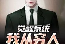 《觉醒系统:我从穷人变富豪》小说大结局免费试读 江野小说-有书评