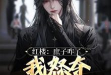 《红楼：庶子咋了，我怒夺贾宝玉风头》小说免费阅读完整版-有书评