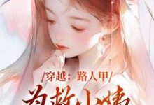 穿越：路人甲为救小姨翻身变女主小说，穿越：路人甲为救小姨翻身变女主在线阅读-有书评