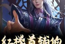 小说《红楼首辅的励志人生》完整版在线章节免费阅读-有书评