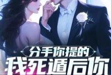 分手你提的，我死遁后你哭什么？驰骋，分手你提的，我死遁后你哭什么？小说免费阅读-有书评