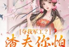 已完结小说《夺我军工?渣夫你怕是没命享》在线章节阅读-有书评