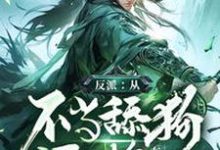 哪里能找到反派:从不当舔狗开始小说的全部章节?-有书评