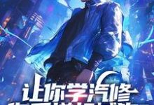 苏白小说免费阅读完整版-有书评