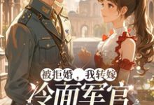 被拒婚,我转嫁冷面军官三年抱俩许诺陆沉小说在线章节目录阅读最新章节-有书评