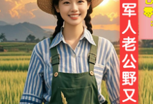 穿越七零:军人老公野又飒小说全文哪里可以免费看?-有书评