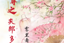 女尊之夫郎多妖娆完整版小说免费阅读,女尊之夫郎多妖娆小说-有书评