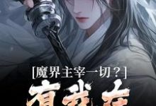 完结版《魔界主宰一切？有我在谁敢造次》免费阅读-有书评