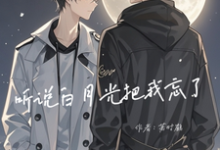 听说白月光把我忘了叶逸辰小说免费阅读-有书评