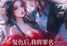 完结版《复仇后，我将罪名嫁祸给漓王》章节阅读-有书评