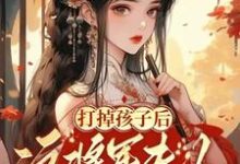 苏归晚云墨小说打掉孩子后这将军夫人谁爱当谁当章节免费阅读-有书评