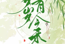 岁岁有今禾最新章节,岁岁有今禾免费阅读-有书评