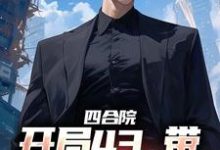 秦舒立完整版《四合院：开局43，带全家过好日子》小说免费阅读-有书评