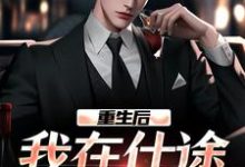 重生后,我在仕途一路狂飙秦正小说在线章节免费阅读-有书评