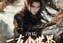 《开局一方小世界,我靠系统逆袭》全集免费在线阅读(李长枫林九)-有书评