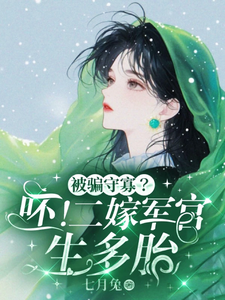 《被骗守寡？呸！二嫁军官生多胎》小说章节在线试读，《被骗守寡？呸！二嫁军官生多胎》最新章节目录
