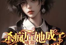叶邢舒司度小说免费阅读完整版-有书评