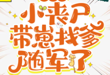 穿七零，小丧尸带崽找爹随军了小说，穿七零，小丧尸带崽找爹随军了在线阅读-有书评