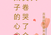 已完结小说《太子的心尖尖卷哭了众人》在线章节阅读-有书评