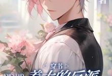 周湶小说免费阅读完整版-有书评