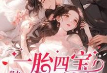 一胎四宝,陆总用力过猛小说有没有完结版在线?-有书评