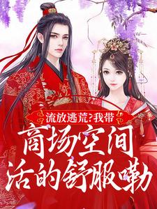 林书棠段砚洲完整版《流放逃荒？我带商场空间活的舒服嘞》小说免费阅读