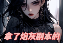 林潇潇小说《拿了炮灰剧本的爽文女主》在线阅读-有书评