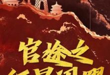 哪里能找到官途之红星闪耀小说的全部章节？-有书评