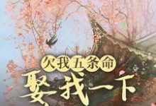 欠我五条命,娶我一下怎么了?完整版小说,欠我五条命,娶我一下怎么了?最新章节-有书评