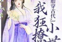 求胎穿古代,我狂撩小世子小说的全文免费阅读链接-有书评