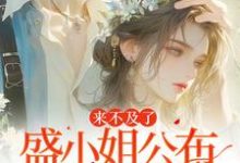 来不及了,盛小姐公布婚讯了完整版小说,来不及了,盛小姐公布婚讯了盛栀意-有书评
