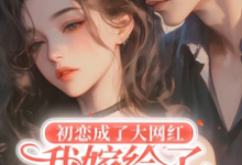 初恋成了大网红,我嫁给了小老板这本小说怎么样?免费在线阅读试试-有书评