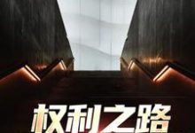 权利之路:我到底是谁小说最新更新在哪里?免费在线看-有书评