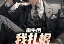 重生后，我扎根基层当大佬小说有没有完结版在线？-有书评