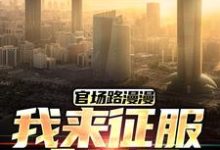 官场路漫漫，我来征服全世界小说完结版章节免费阅读-有书评