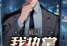 完结版《底层：我执掌晋升奥秘》章节目录在线阅读-有书评