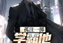 完结版《孤注一掷：学霸他官运亨通》免费阅读-有书评