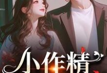 《小作精，我看上你啦》完整版小说免费阅读-有书评