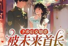 下乡后女知青被未来首长娇养了小说的免费阅读版本在哪里可以找到?-有书评