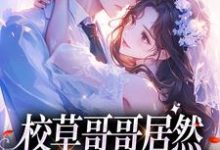 校草哥哥居然是我的联姻对象明浔苏闻祈小说在线章节目录阅读最新章节-有书评