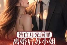 小说《替白月光顶罪，离婚后苏小姐惊艳全球》章节免费阅读-有书评