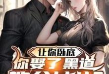 郑川沈璃小说完结版在线阅读，让你卧底，你娶了黑道教父女儿？免费看-有书评