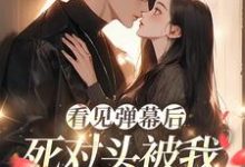 小说《看见弹幕后,死对头被我钓成翘嘴》完整版章节免费阅读-有书评