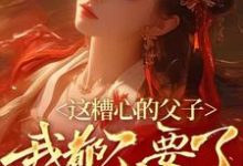 《这糟心的父子我都不要了》小说姜慕绵慕宸章节章节免费在线阅读-有书评